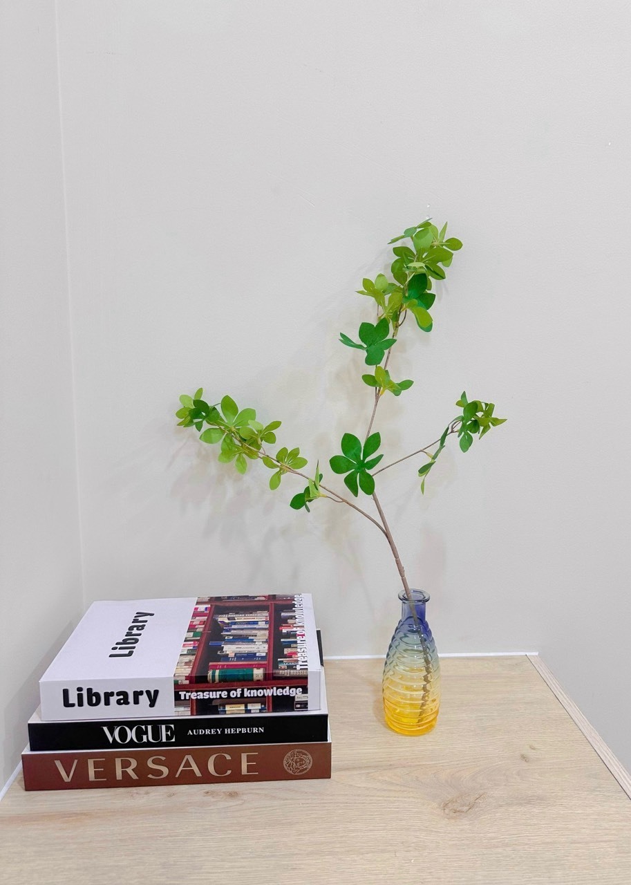 OCEAN VILLA - MS 28: Biệt thự đơn lập 10x20m - View Biển, đối diện hồ bơi