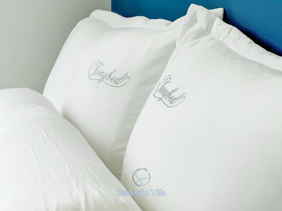 SANTORINI VILLA 2 - MS 06: Biệt thự song lập 8x20m - 04 Phòng ngủ