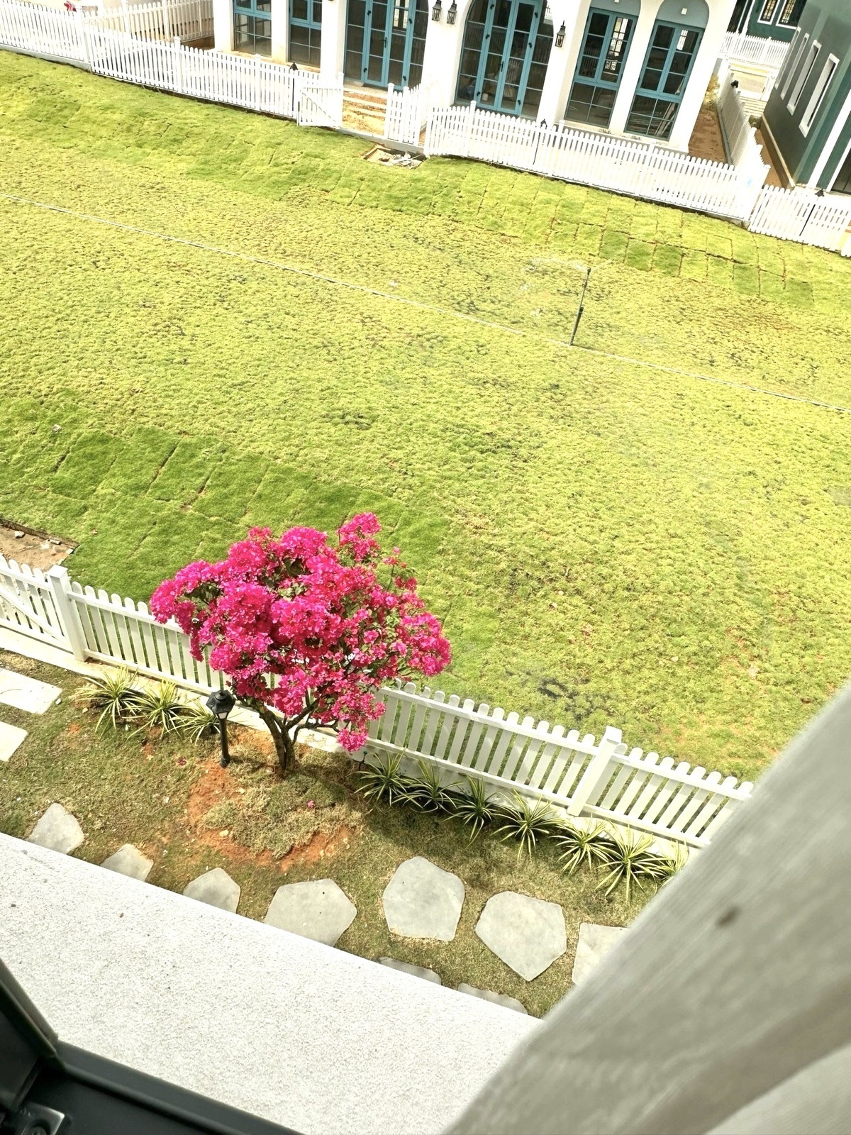 AKO VILLA - MS 302: Biệt thự song lập 8x20m