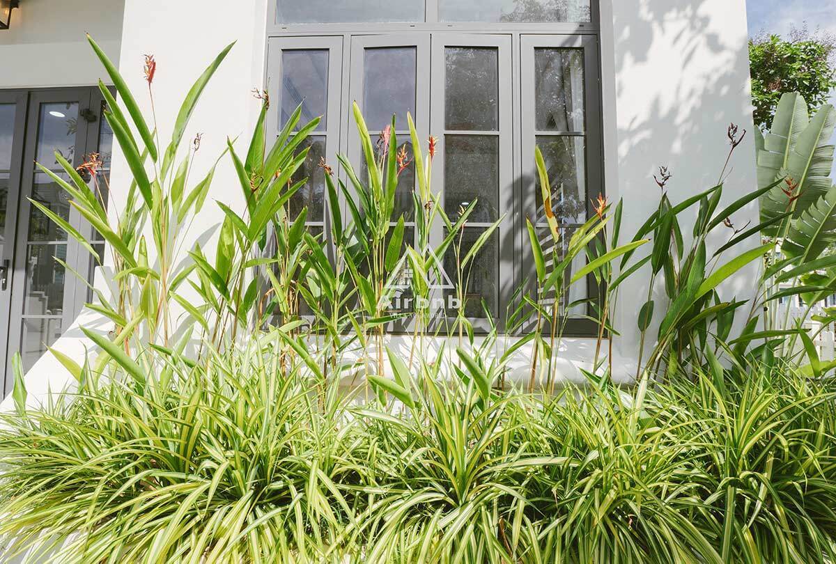 FAMILY VILLA - MS 29: Biệt thự song lập 10x20m (Căn góc)