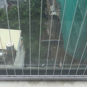 Lưới chống muỗi - lưới an toàn