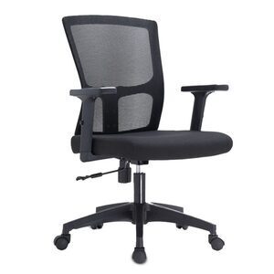 Ghế Công Thái Học VP48