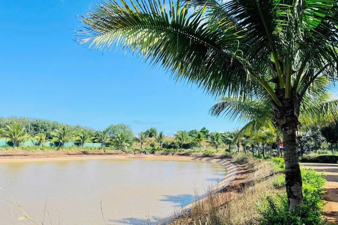 Bán Biệt Thự Song Lập Eco City Premier BMT – Đẳng Cấp Sống Thượng Lưu