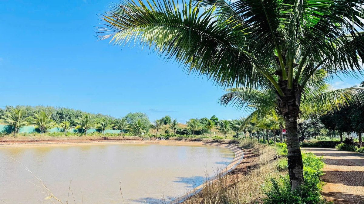Bán Biệt Thự Song Lập Eco City Premier BMT – Đẳng Cấp Sống Thượng Lưu