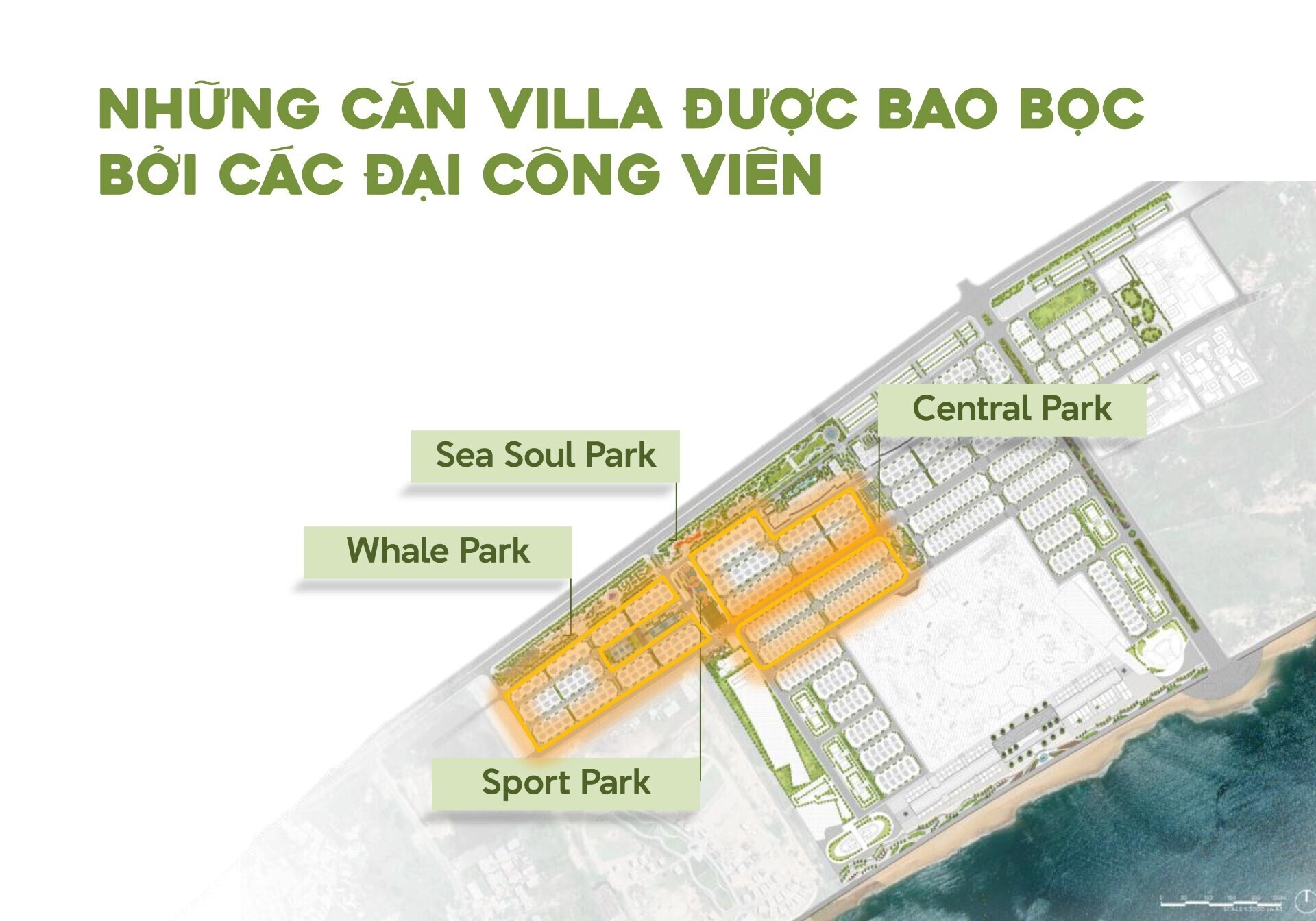 Bất động sản - SG Holdings