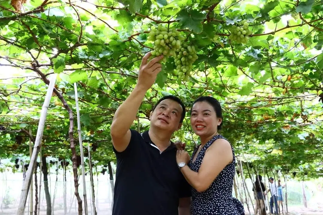 lượng khách đến bình thuận tăng gấp đôi 2022 nhờ cao tốc