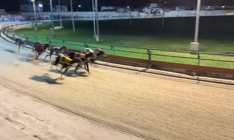 cẩm nang du lịch tp. vũng tàu