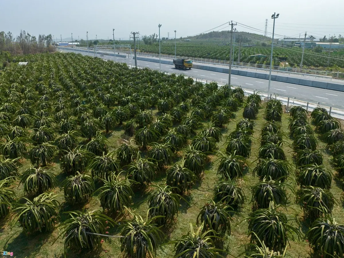 cấp tập hoàn thiện cao tốc phan thiết - dầu giây trước giờ thông xe