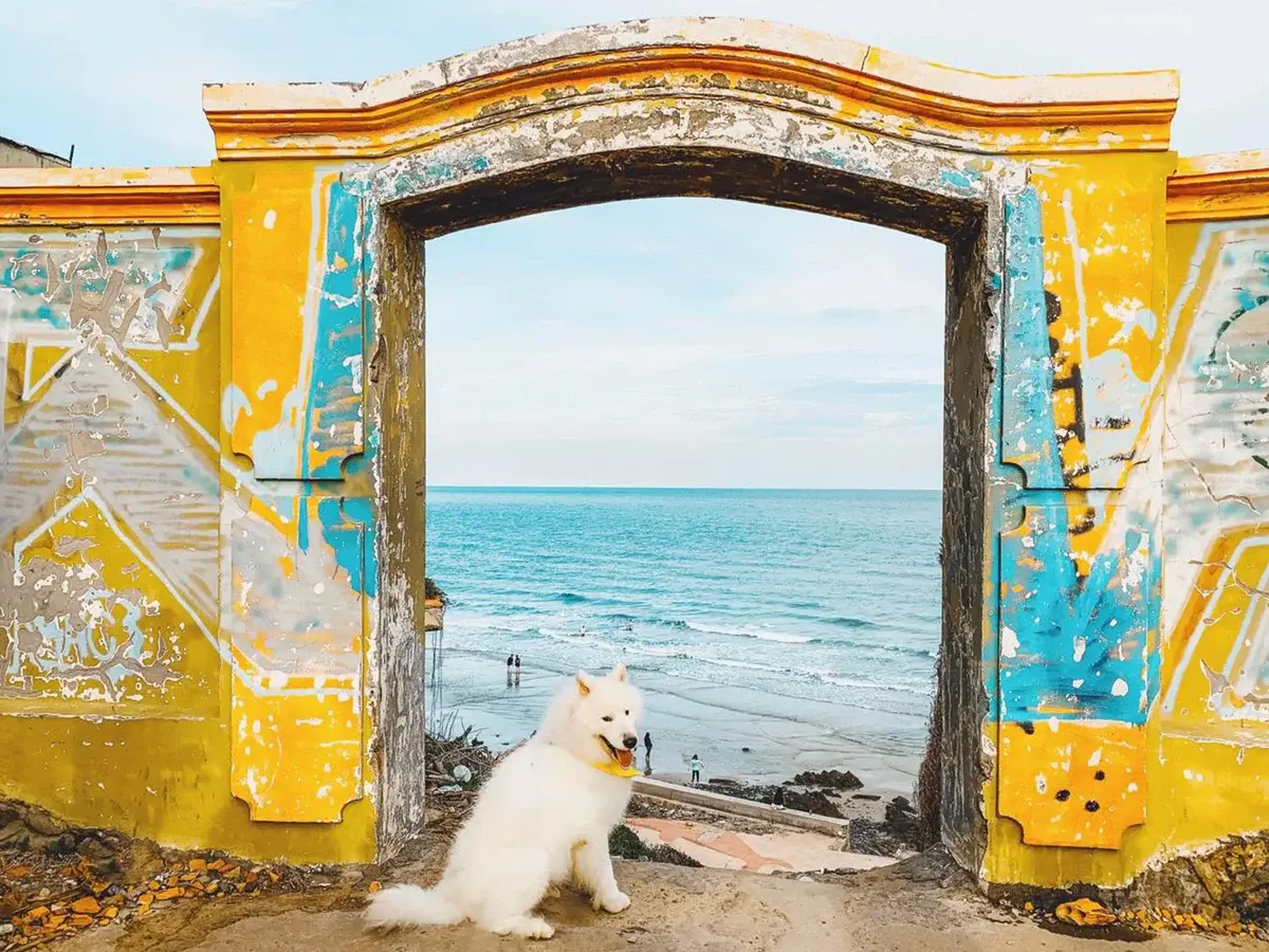 cẩm nang du lịch tp. vũng tàu