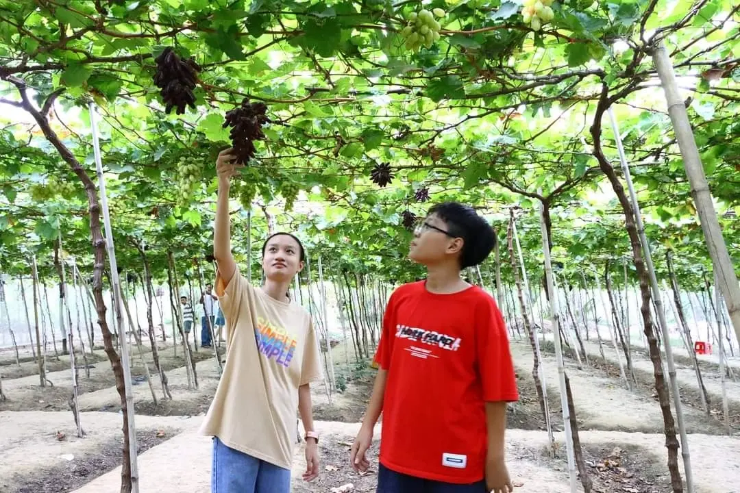 lượng khách đến bình thuận tăng gấp đôi 2022 nhờ cao tốc