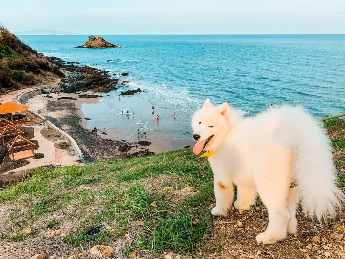 cẩm nang du lịch tp. vũng tàu