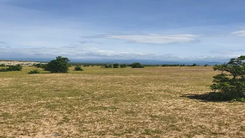 Đất mẫu Bình Thuận