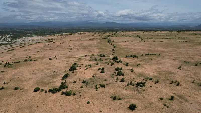 Đất mẫu Bình Thuận