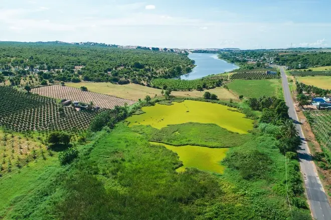 Đất mẫu Bình Thuận