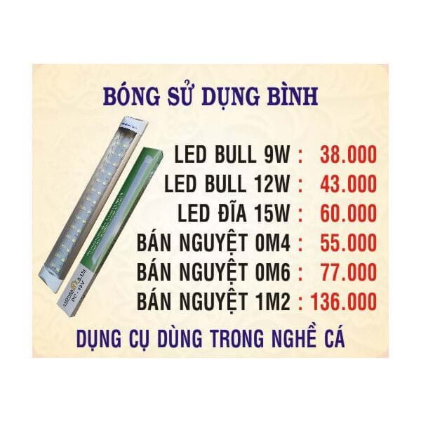 Bóng sử dụng bình