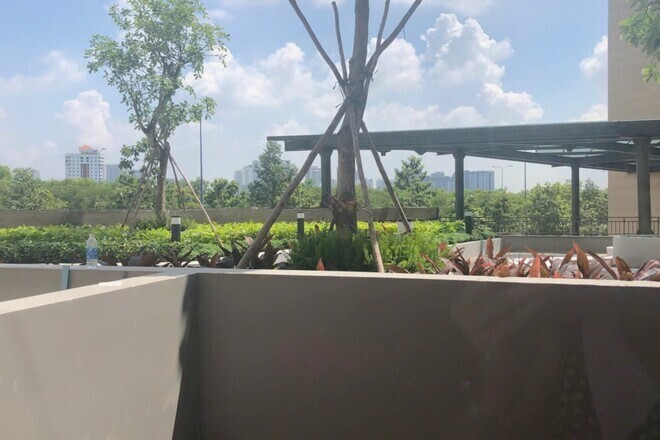 Văn Phòng Rất Đẹp Có Ban Công Chuyển Nhượng - The Sun Avenue Officetel