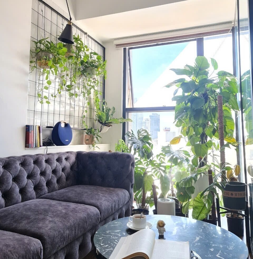 Căn Hộ Studio Cực Đẹp Cần Chuyển Nhượng Giá Tốt – The Sun Avenue Studio