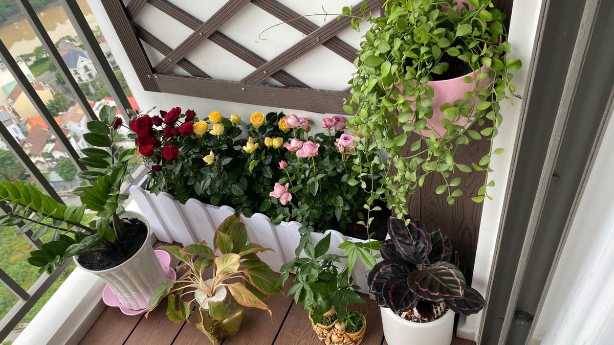 Đại Gia Đình Nào Rồi Cũng Sẽ Thích Căn Hộ Này Thôi - The Sun Avenue 3PN