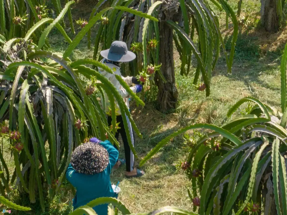 3450346094-1682663667