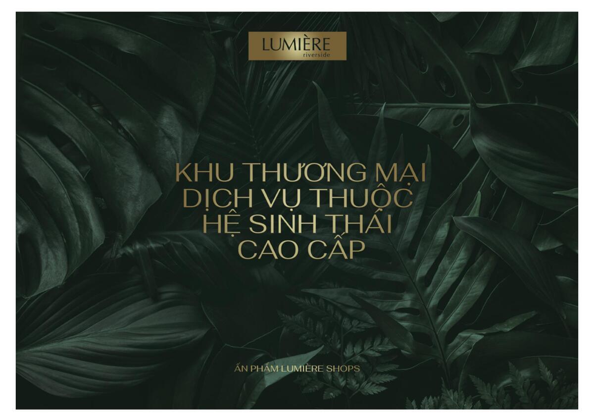 lumiere-shop1