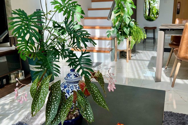 BÁN DUPLEX VISTA VERDE 2PN-91 M2 GIÁ 15 TỶ