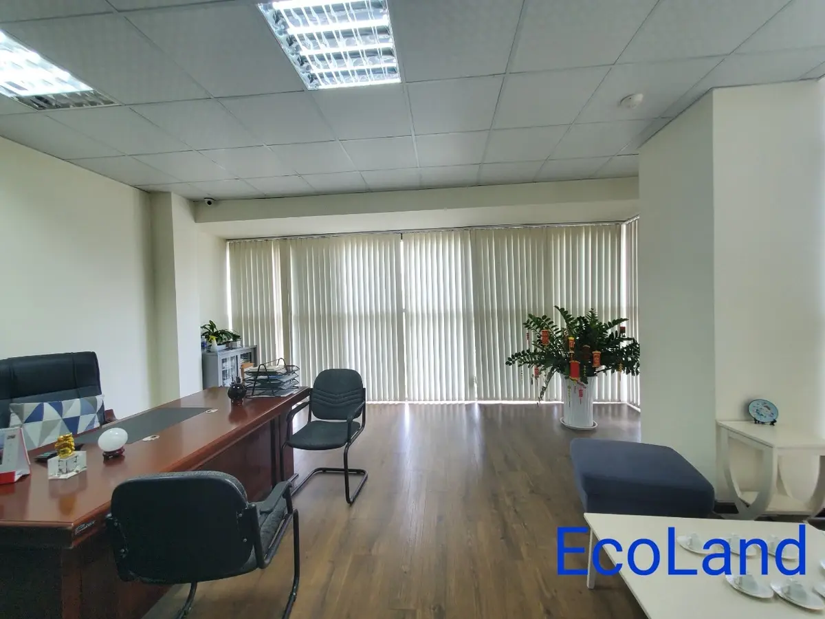 Cho Thuê Văn Phòng The Sun Avenue 16 Triệu Diện Tích Lớn 60m2 Nội Thất Văn Phòng