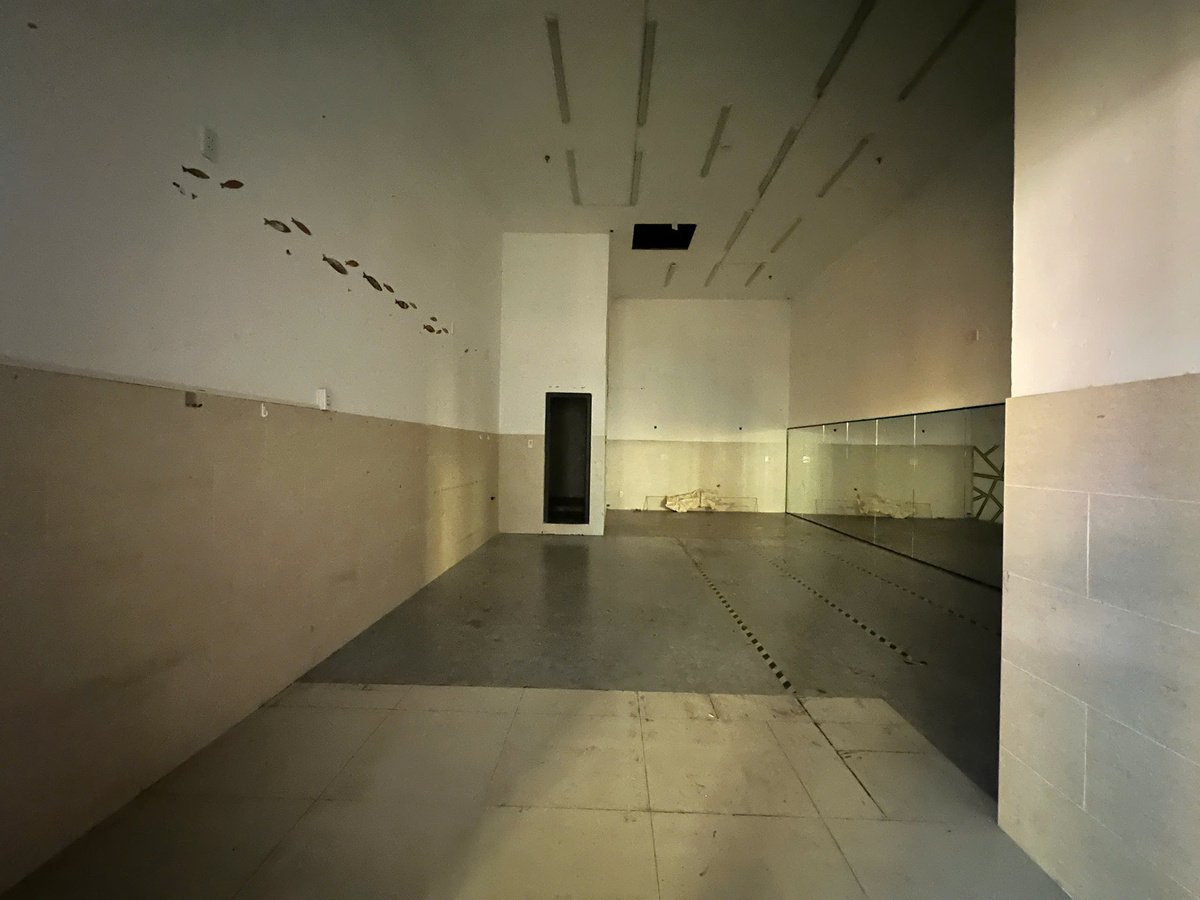 Shophouse Hoàn Thiện Có Bản Cho Thuê The Sun Avenue Giá Chỉ 25 Triệu - 55m2