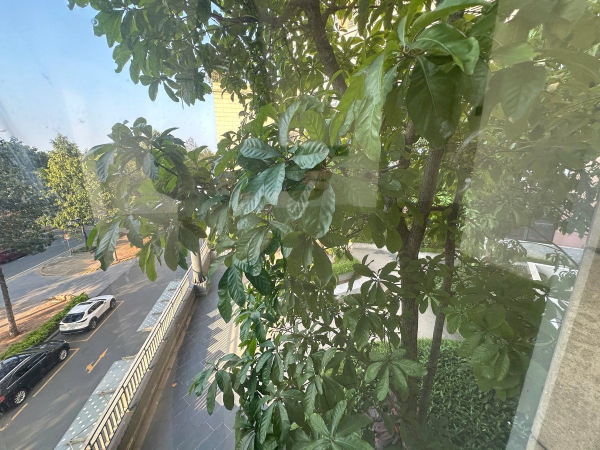 Văn Phòng Diện Tích 60m2 Cho Thuê The Sun Avenue, Q2