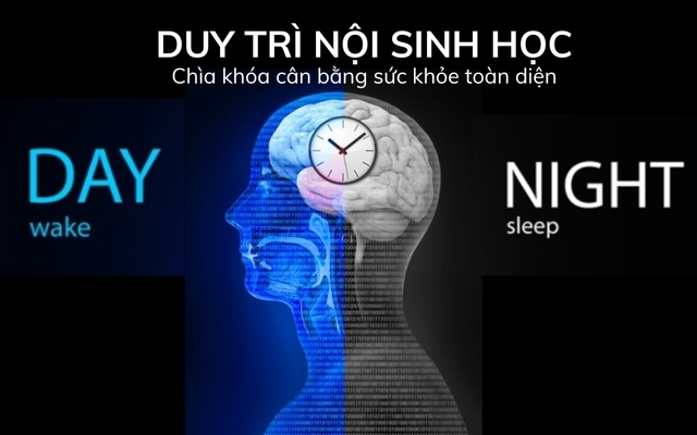 DUY TRÌ NỘI SINH HỌC – CHÌA KHÓA CÂN BẰNG SỨC KHỎE TOÀN DIỆN