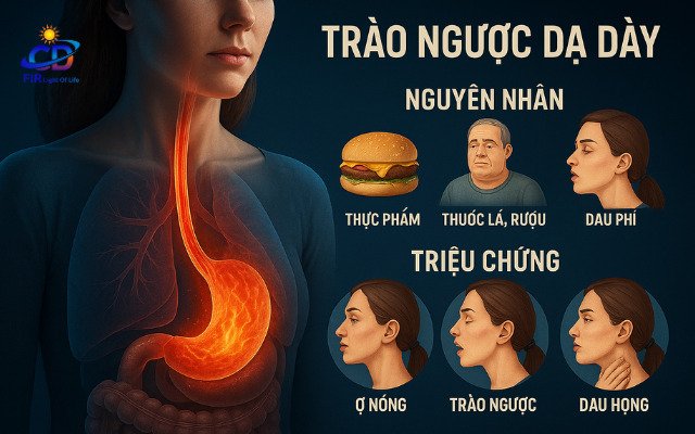 Trào Ngược Dạ Dày – Thực Quản: Nguyên Nhân, Triệu Chứng & Giải Pháp Hỗ Trợ Bằng FIR