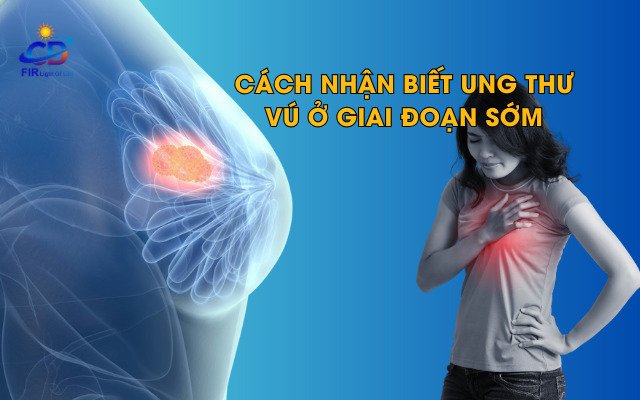 Ung Thư Vú – Nhận Biết Sớm & Hỗ Trợ Bằng FIR