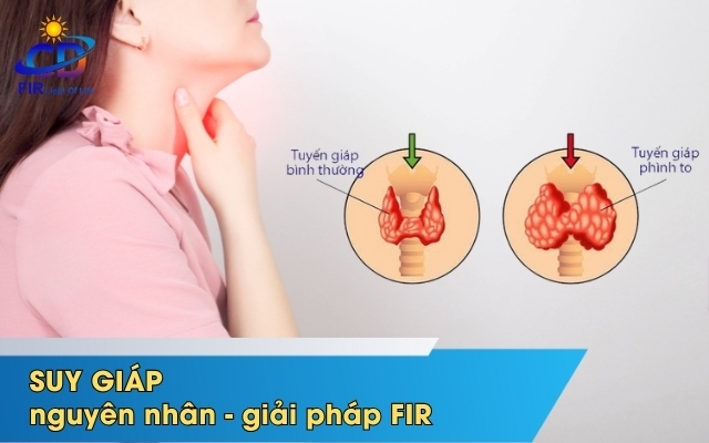 SUY GIÁP – KHI TUYẾN GIÁP NGỦ QUÊN & CÁCH HỒNG NGOẠI XA (FIR) HỖ TRỢ KÍCH HOẠT NĂNG LƯỢNG CƠ THỂ