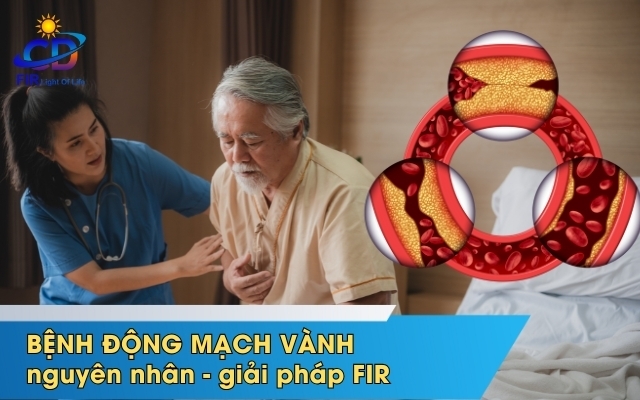 BỆNH ĐỘNG MẠCH VÀNH – KHI TRÁI TIM CẦN NGHỈ & LIỆU PHÁP HỒNG NGOẠI XA (FIR) HỖ TRỢ TUẦN HOÀN TIM MẠCH