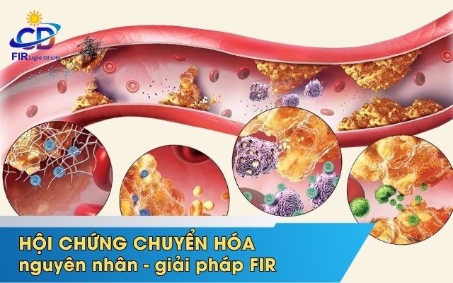 HỘI CHỨNG CHUYỂN HÓA – GỐC RỄ CỦA NHIỀU BỆNH MÃN TÍNH & CÁCH FIR GIÚP CÂN BẰNG CƠ THỂ