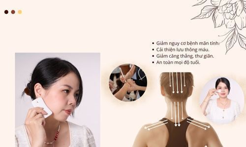 KHÓA HỌC CƠ BẢN