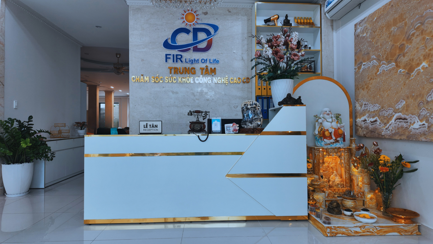 Y học năng lượng, chăm sóc sức khỏe công nghệ cao