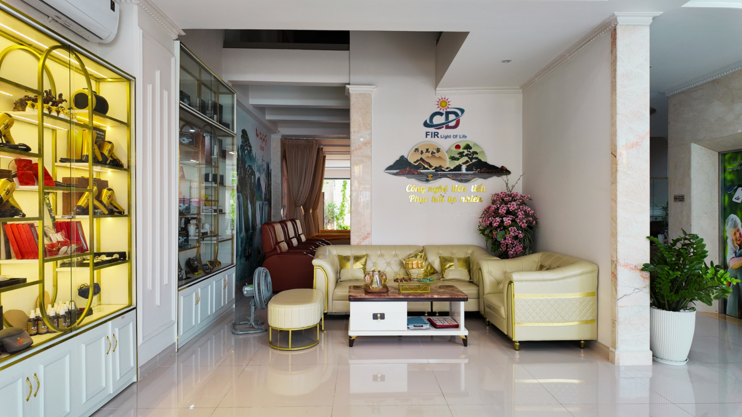 Y học năng lượng, chăm sóc sức khỏe công nghệ cao