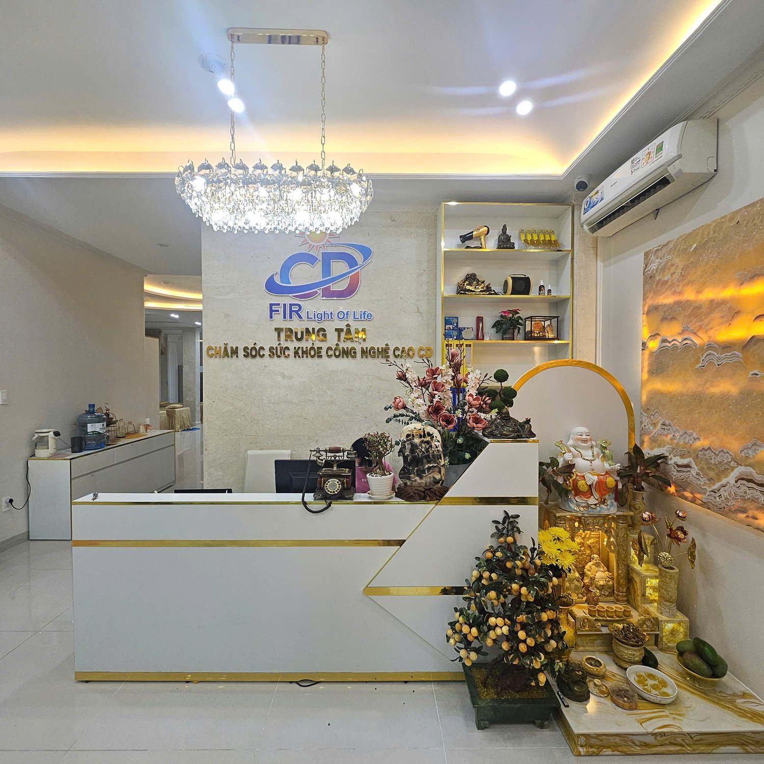 Y học năng lượng, chăm sóc sức khỏe công nghệ cao