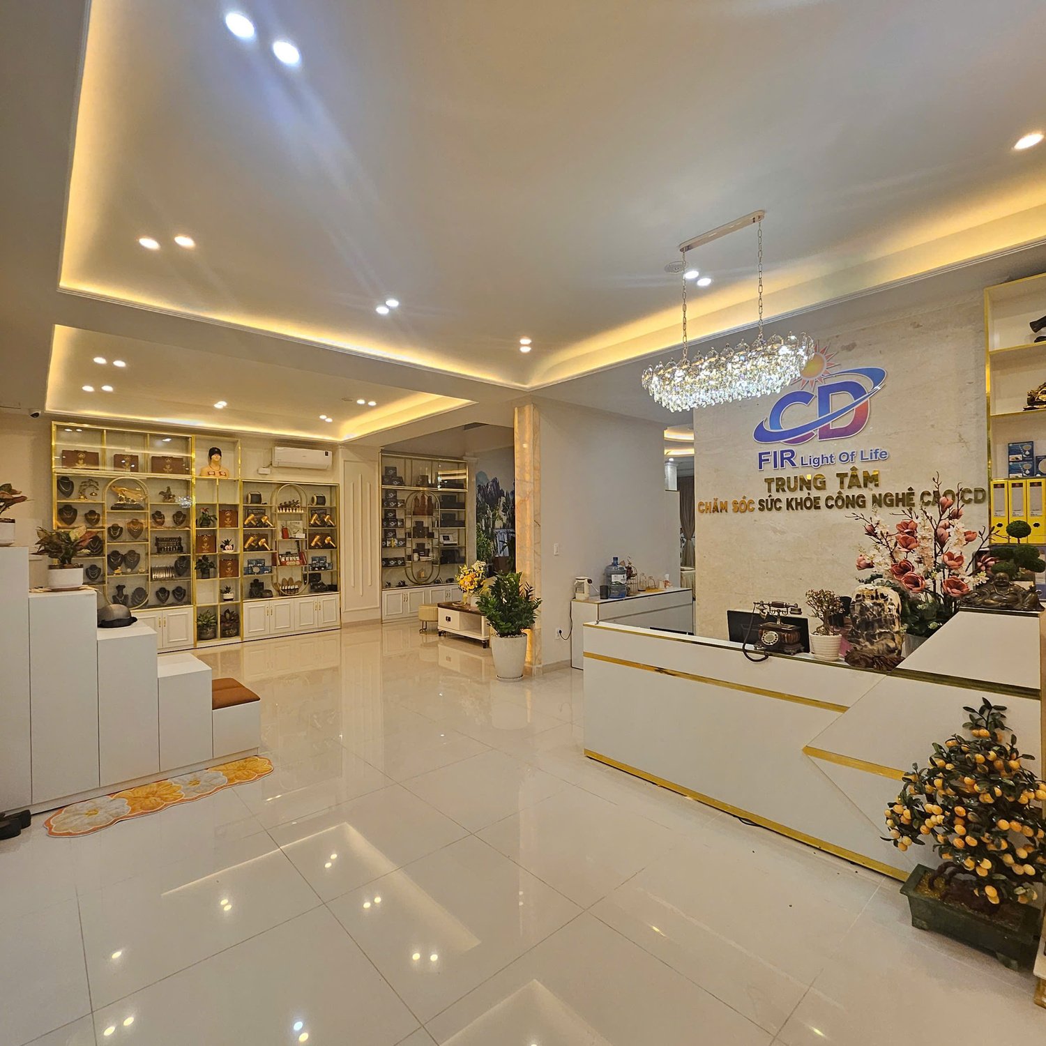 Y học năng lượng, chăm sóc sức khỏe công nghệ cao