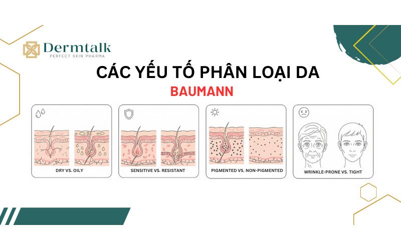 Các yếu tố ảnh hưởng đến sự hình thành và thay đổi típ da theo phân loại Baumann