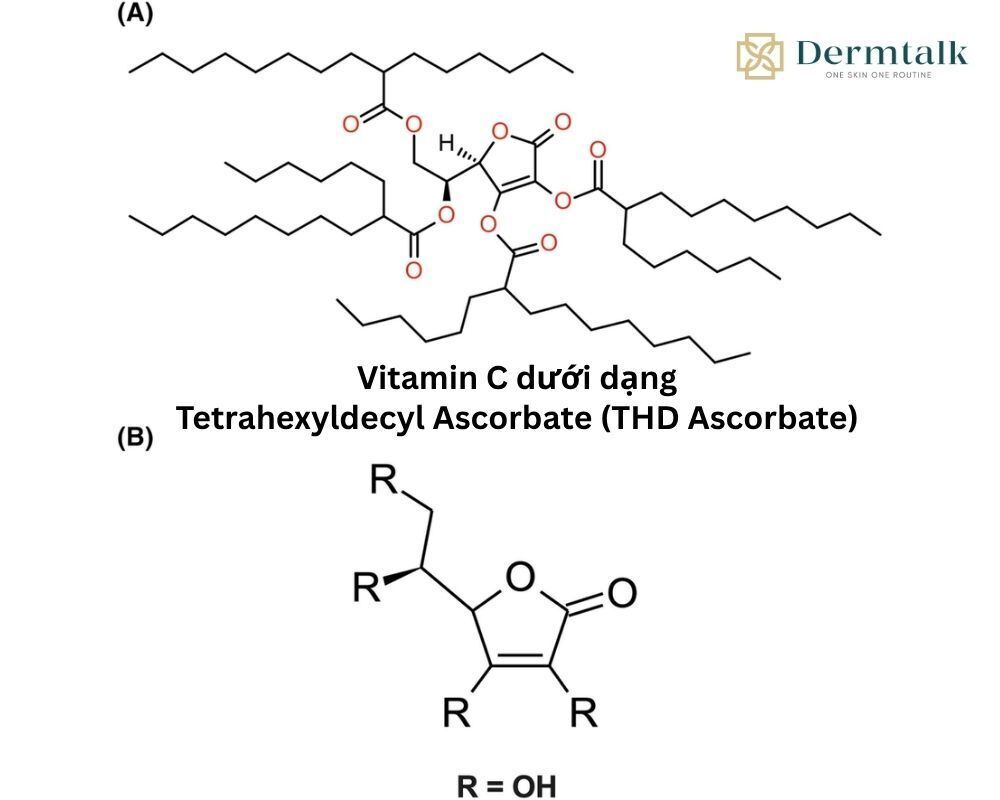 vitamin-c-la-gi-va-cach-hoat-dong-tren-da
