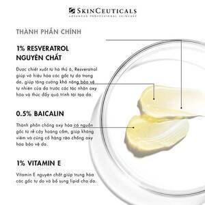 Serum đêm chống oxy hoá mặt Resveratrol B E | SkinCeuticals Serum | Dermtalk Store