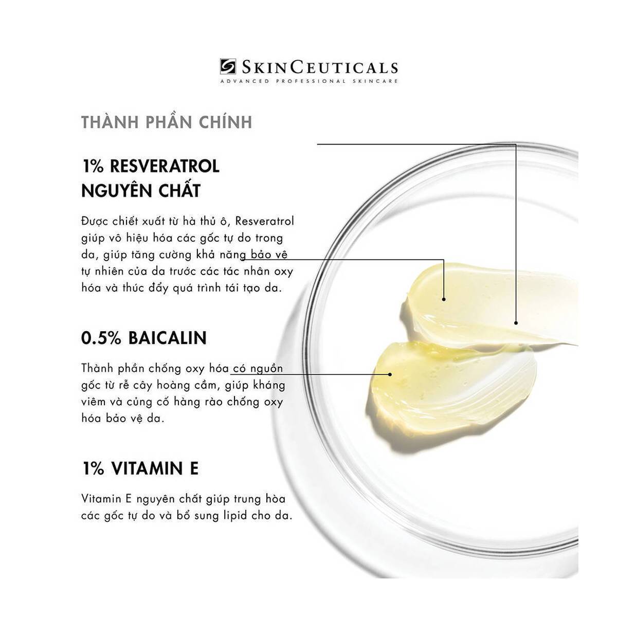 Serum đêm chống oxy hoá mặt Resveratrol B E | SkinCeuticals Serum | Dermtalk Store