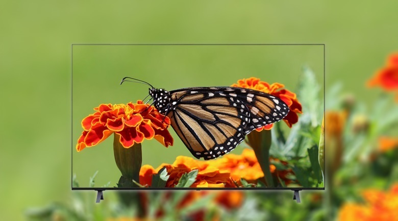 smart tivi nanocell lg 4k 50 inch 50nano77tpa