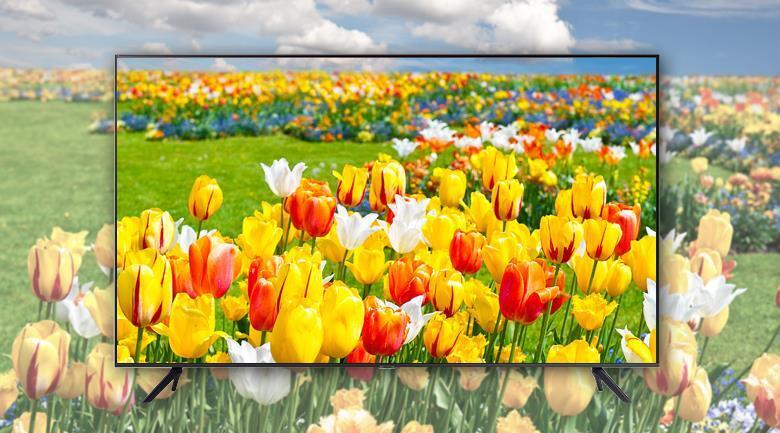 smart tivi samsung 4k 65 inch 65au7000 uhd