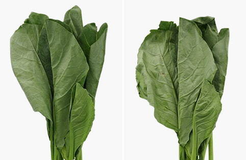 tủ lạnh hitachi inverter 590 lít r-m800pgv0(gbk)