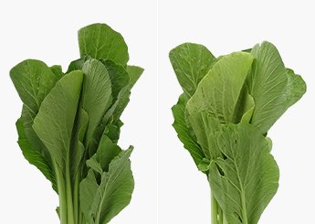 tủ lạnh hitachi inverter 406 lít r-fvy510pgv0(gmg)