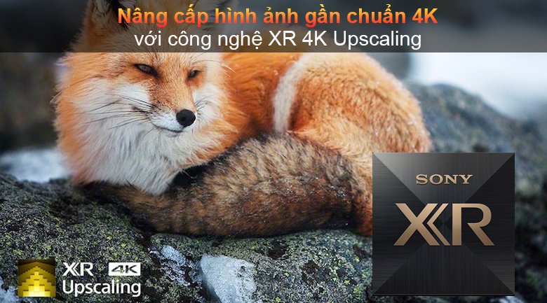 android tivi sony 4k 65 inch xr-65x90j