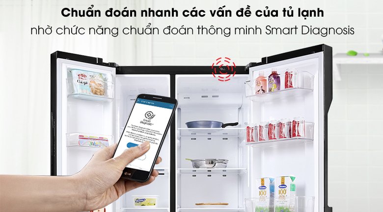 tủ lạnh lg inverter 613 lít gr-b247wb