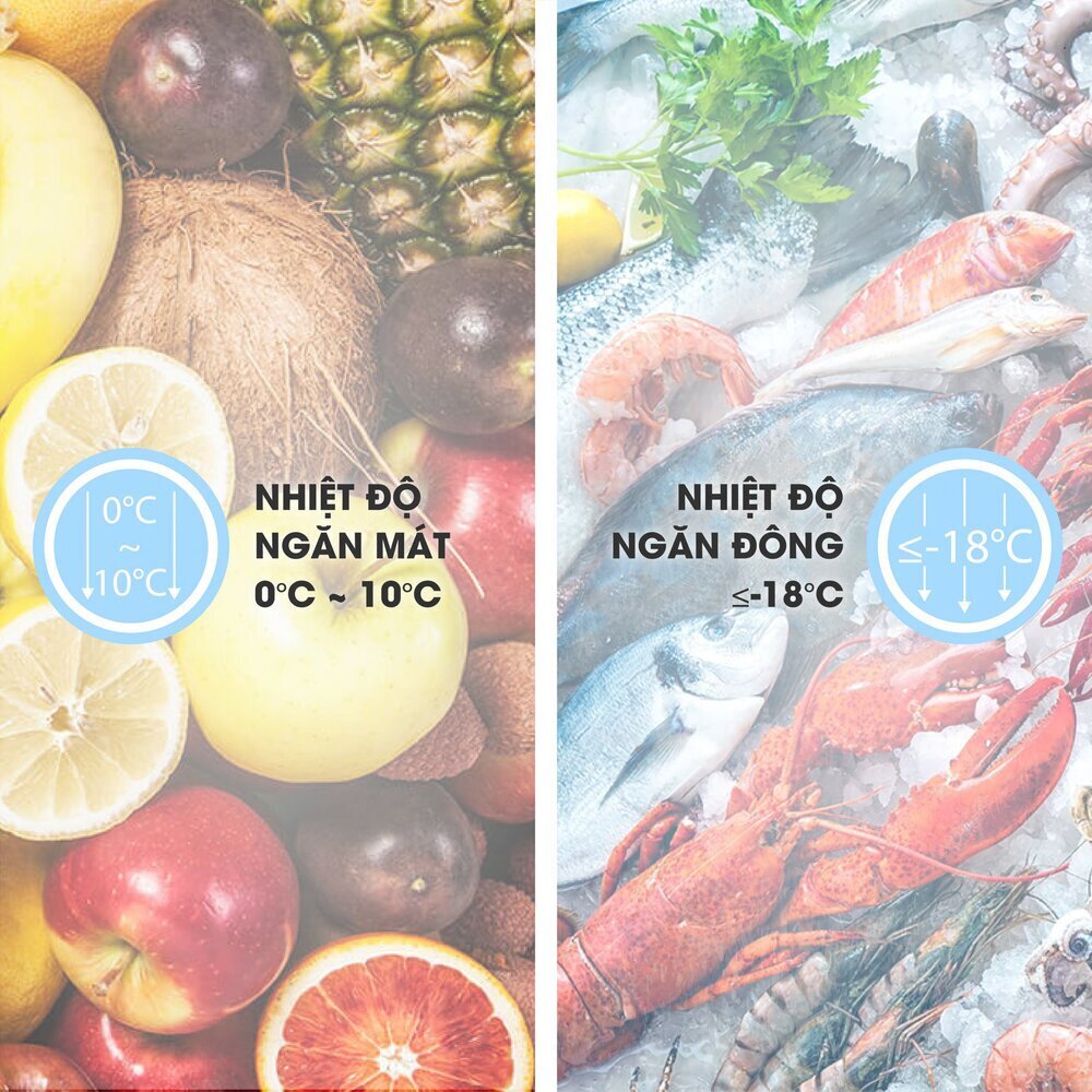 tủ đông mát sanaky vh-4099w1 400 lít